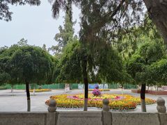 -赵州桥景区