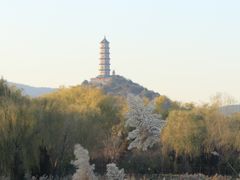 -北坞公园