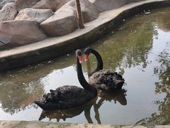 -北戴河集发农业梦想王国
