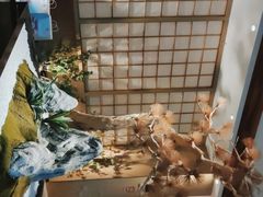 -蜜桃餐厅·伴山(湖滨商业街店)