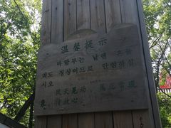 -帽儿山国家森林公园