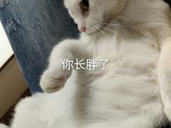 -福州人铭小吃