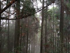 iphone_upload_pic-井冈山风景名胜区-黄洋界