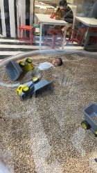 -超级奈尔宝SUPER NEOBIO(杭州星光店)