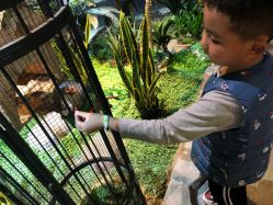 -酷嗒动物文化乐园(cutezoo西溪乐天城店)