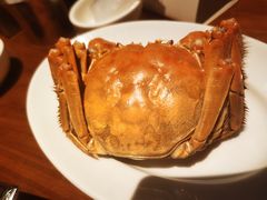 大闸蟹-广州富力君悦大酒店·凯菲厅