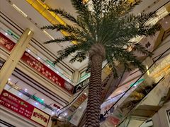 -高科园装饰城(辽阳东路店)