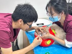 -艾贝尔宠物医院·24H转诊中心·肿瘤猫专科(江宁双龙店)