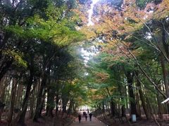 -醍醐寺