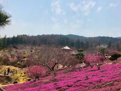 -石岛赤山风景区