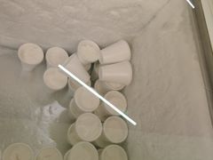 -洪馨椰子