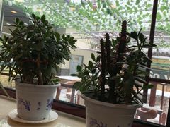 -伊隆斋(什刹海店)