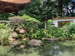 -广州兰圃