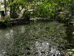 -成都市活水公园