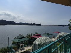 -望湖烤鱼