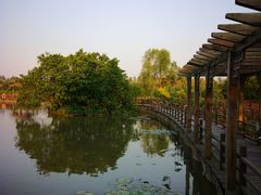 -大湾区中央湿地公园