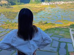 -会仙湿地