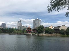 -月湖公园