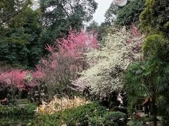 -成都杜甫草堂博物馆
