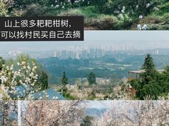 -樱桃山旅游景区