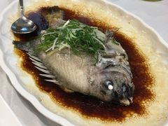 清蒸野生蓝瓜子-东江海鲜酒家(艺都分店)