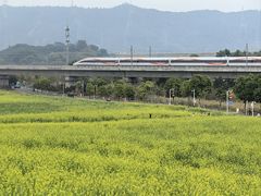 -光明小镇欢乐田园