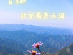 -白草畔自然风景区