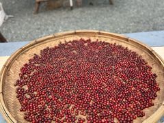 -青岛东方影都融创水世界