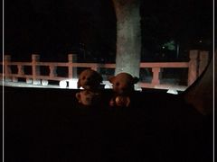 -奥特莱斯停车场