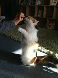 -梵初·STUDIO婚纱摄影(通州万达店)