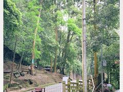 -凤栖山
