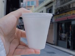 -洪馨椰子