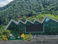 -牛背梁国家森林公园