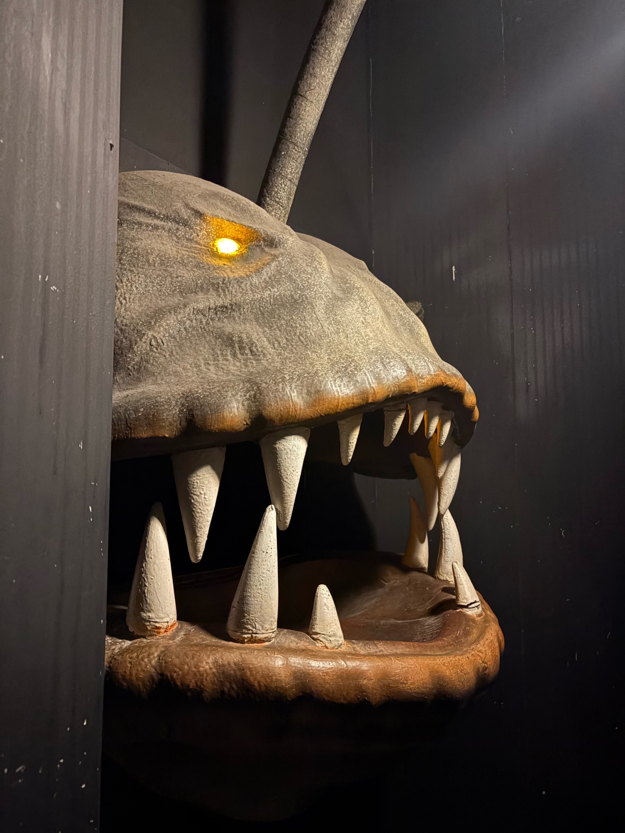 打开声音的秘密空间