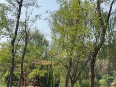 -日照海滨国家森林公园