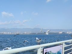 -海埂大坝