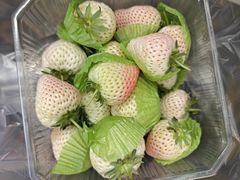 -桃源市场(解放路店)
