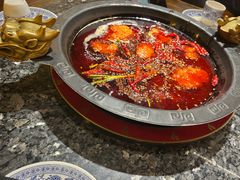 -成渝龙火锅(都江堰店)