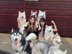 -TrueLove @ Neverland (Husky Cafe)