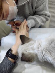 -WH日式美甲沙龙