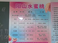 -老袁家蜜桃农场·阳山水蜜桃