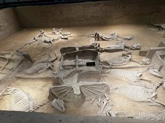 -洛阳周王城天子驾六博物馆