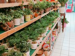 -大润发(梅兰东路店)