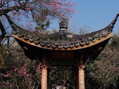 -杭州植物园