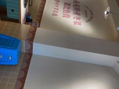 -费明中罗非鱼(大石坝店)