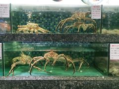 -宝燕壹号(徐汇店)