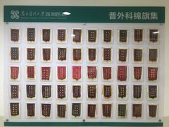 -南方医科大学深圳医院
