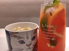 -飞行喵MR PILOT|猫舍·猫咖(静安大融城店)