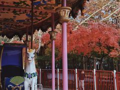 -上海共青森林公园