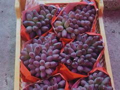 -马陆小张葡萄园农家乐